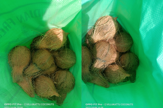 Villukattu Coconuts Images
